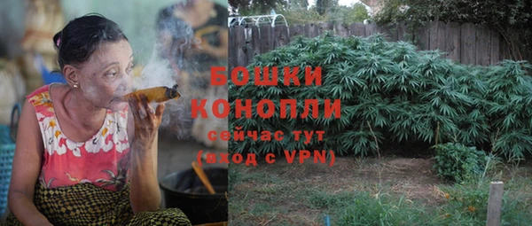 мяу мяу мука Новодвинск
