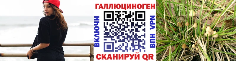 Псилоцибиновые грибы прущие грибы  MEGA   Бавлы 